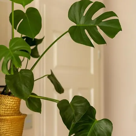 Apartment Forum Wola Jana Kazimierza By Renters *